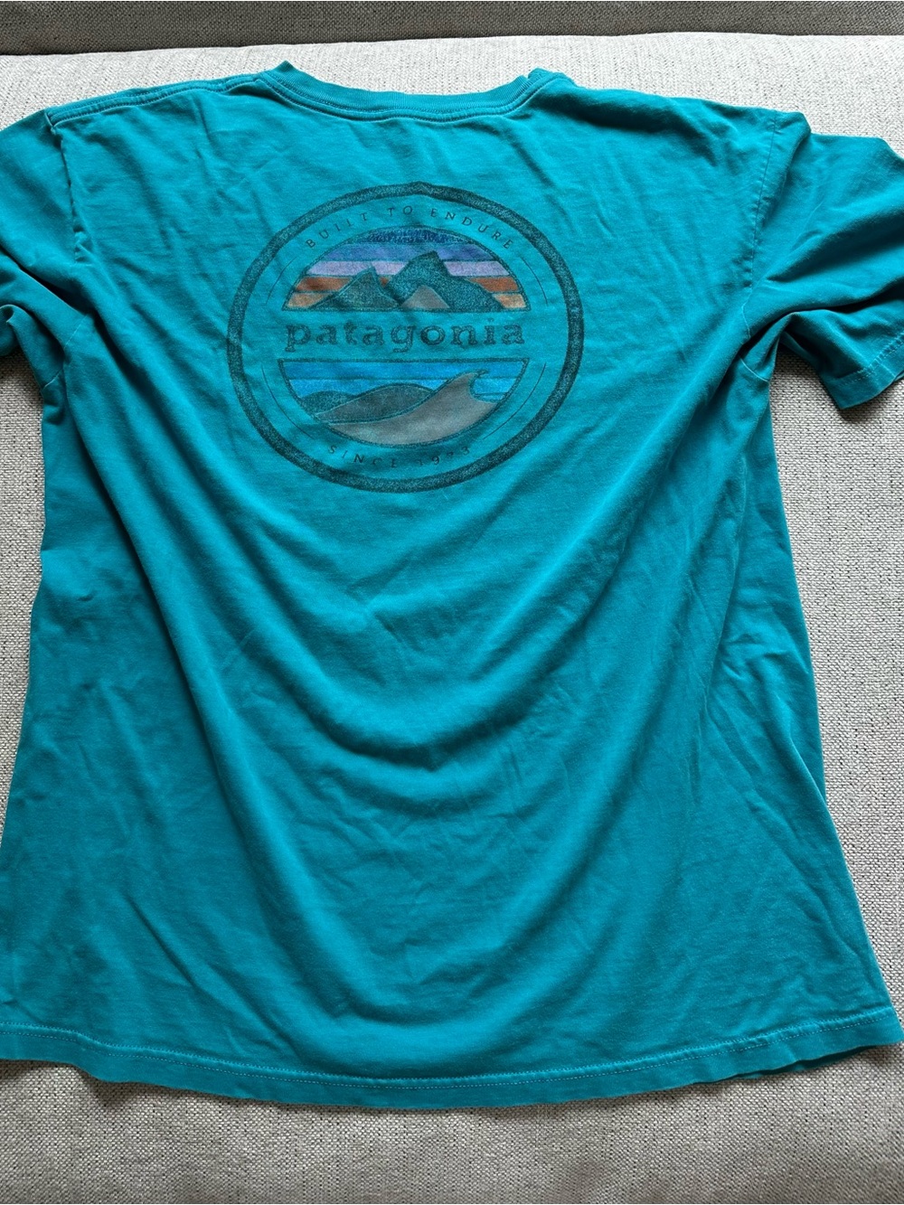 Patagonia Graphic T-Shirt Men’s L